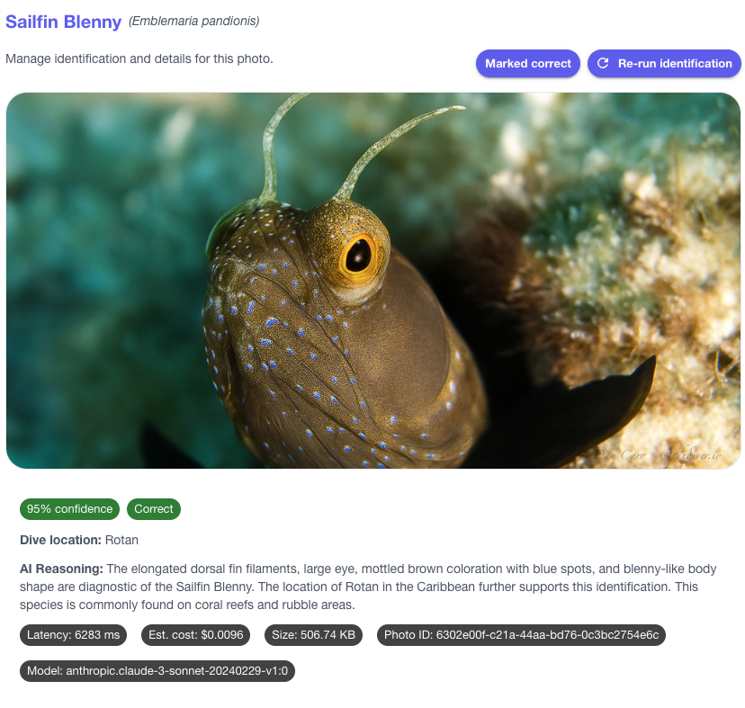 Identification detail view